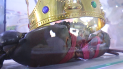 Ngày hội cua Cà Mau lần 2 dự kiến sẽ có nhiều kỷ lục được xác lập