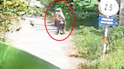 Trích xuất camera vụ hai người khiêng xác bạn nhậu bỏ ở vườn dừa nhà dân
