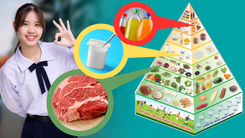 Cách đọc hiểu tháp dinh dưỡng của người Việt Nam theo từng nhóm tuổi