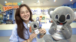 Khám phá trường học 2025: Melbourne Polytechnic Việt Nam - Học chuẩn Úc, không cần đi xa