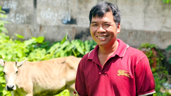 Thấy 2 con bò đi lạc gần nhà, anh bán cháo lòng nhờ người lên mạng tìm chủ nhân