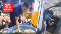 Bản tin 30s nóng: Bắp chuối cũng bị ngâm hóa chất; Tạm giữ người rút súng dọa tài xế