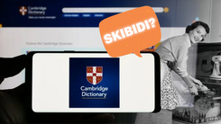 Giải nghĩa 'skibidi', 'delulu', 'tradwife' và loạt từ 'lạ' vừa được đưa vào từ điển Cambridge