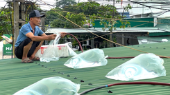 Bão số 5 tới gần, người dân nhiều tỉnh miền Trung đồng loạt triển khai biện pháp ứng phó
