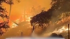 Cháy rừng dữ dội ở California, hàng trăm hộ dân phải sơ tán