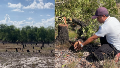 Phát hiện vụ phá rừng phòng hộ quy mô lớn ở Quảng Trị, nghi chiếm đất chờ đền bù