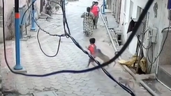 Bé trai 5 tuổi bị khỉ rượt đuổi, tấn công trên đường ở Ấn Độ