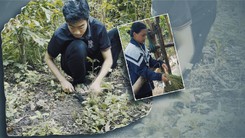 Tiếp sức đến trường 2025: Tân sinh viên nghèo chờ đợi, bạn đọc gửi gắm niềm tin