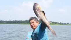 Góc nhìn trưa nay: Trải nghiệm bắt cá tại 'hòn ngọc thô' của tỉnh Đồng Nai