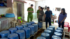 Khởi tố chủ cơ sở ở Ninh Bình dùng hóa chất cấm để sản xuất giá đỗ