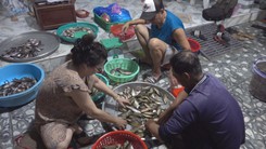 Góc nhìn trưa nay | ‘Chợ ma’ cá đồng ở đầu nguồn An Giang nhộn nhịp vào mùa