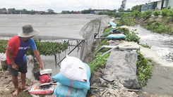 Nông dân Vĩnh Lộc huy động 5 máy bơm cứu vườn rau ngập nặng sau mưa