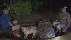 Góc nhìn trưa nay | Người dân tất tả chạy lũ xuyên đêm