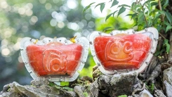 Độc đáo giống bưởi đỏ 'tiến vua' được tạo hình thỏi vàng phục vụ Tết 2026