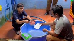 Bên trong 'lò' làm giả hàng chục tấn thịt nhím, đà điểu, nai… từ thịt heo, bán khắp nơi