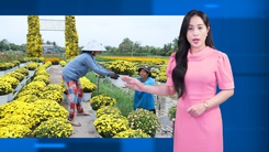 Thời tiết đêm 18 ngày 19-1: Thời tiết cả nước tiếp tục ấm nóng lên