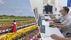 Góc nhìn trưa nay: Làng hoa Sa Đéc bừng sắc xuân; Phương pháp điều trị mới cho bệnh nhân ung thư