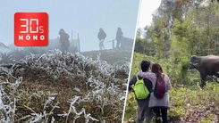Bản tin 30s nóng: Băng giá ở đỉnh Mẫu Sơn; Rừng khộp lớn nhất Việt Nam vào mùa thay lá