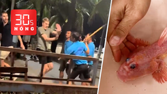 Bản tin 30s nóng: Diễn biến mới vụ nhân viên quán bar dọa đánh du khách; Độc lạ cá thòi lòi hồng