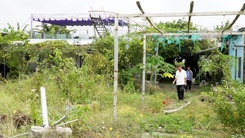 Dự án đường dẫn vào cầu Giá Rai 'đắp chiếu' hơn 6 năm, vì sao?