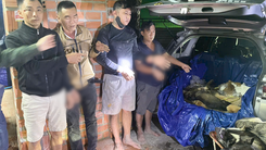 Cảnh sát 'đột kích' điểm giết mổ chó trộm ở Tây Ninh, tạm giữ hình sự 9 người