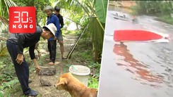 Bản tin 30s nóng: Săn chuột đồng mùa nước nổi miền Tây; Dừng giải đua vỏ lãi sau tai nạn