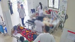 Bị đàn ong tấn công, người phụ nữ nhập viện với 49 con ong mắc trên đầu