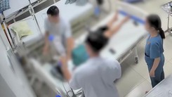 Người phụ nữ nguy kịch sau khi bị ong bắp cày đốt một vết, bác sĩ cảnh báo