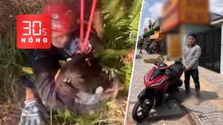 Bản tin 30s Nóng: Giải cứu nữ du khách lọt hố 10m ở Đà Lạt; Bắt nghi phạm cướp tiệm vàng ở TP.HCM