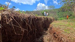 Vết nứt 'nuốt chửng' gần 1ha đất và cây trồng ở Gia Lai chưa rõ nguyên nhân