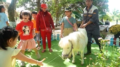 Đến Trại rắn Đồng Tâm ngắm ngựa lùn Pony