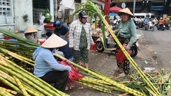Nhộn nhịp mua bán mía vàng trước ngày vía Ngọc Hoàng