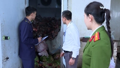 Thu giữ gần 6 tấn đuôi, chân, gân trâu, bò bốc mùi hôi thối