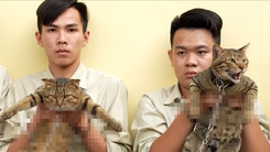 Bắt nhóm dùng cá chiên làm mồi nhử bẫy trộm mèo ở xã Đông Thạnh, TP.HCM