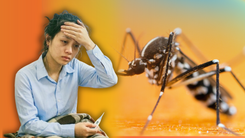 Điều nguy hiểm ít người biết về bệnh sốt xuất huyết Dengue đang bùng phát