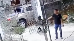 Chủ xe bán tải gây cản trở giao thông ở Nghệ An bị phạt 5 triệu đồng