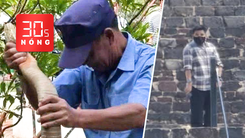 Bản tin 30s Nóng: Thả rắn 3m bắt tại bệnh viện về rừng; Xả súng ở kim tự tháp