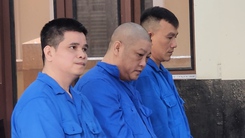 Giả vờ chở  thuê hơn 15 tấn sầu riêng rồi đem bán lấy tiền tỉ chia nhau, 3 người lãnh án
