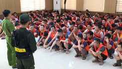 Khởi tố 196 người trong đường dây chọi gà xuyên quốc gia, số tiền giao dịch trên 1.200 tỉ