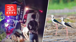 Bản tin 30s Nóng: Lật xe khách, nhiều người thoát nạn; Mùa kết đôi của 'mỹ nữ chân dài'