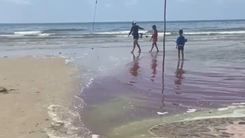 Nước biển Vũng Tàu đổi màu lạ, du khách e ngại không dám tắm