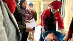 Thịt lợn trong bữa ăn bán trú nhiễm tả châu Phi, hiệu trưởng bị đình chỉ 14 ngày