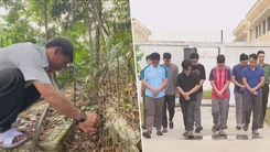 Góc nhìn trưa nay: Bắt 'ông Tý' trộm sâm Ngọc Linh; Phá đường dây rửa tiền, lừa đảo quy mô lớn