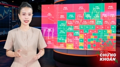 Bản tin chứng khoán: VN-Index chao đảo, cơ hội nào cho nhà đầu tư tuần mới?