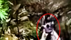 Dùng flycam truy vết, bắt nghi phạm trốn trong rừng sâu sau khi sát hại bé trai