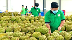 Đại sứ Hà Vĩ nói về hợp tác nông nghiệp giữa Trung Quốc và Việt Nam