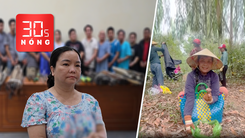 Bản tin 30s nóng: Băng ‘Chành cua 46’ manh động, thu lợi 40 tỉ ra sao? Mùa nấm tràm Phú Quốc