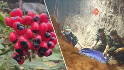 Góc nhìn trưa nay: Phát hiện 9 bộ hài cốt liệt sĩ tại Công viên Lê Thị Riêng; Đẹp say lòng quốc bảo sâm Ngọc Linh mùa hạt chín 