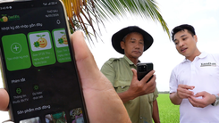 Nông nghiệp kết nối - An tâm, minh bạch