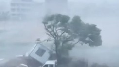 Video bão Dolphin sức gió 151km/h càn quét, Trung Quốc sơ tán khẩn 1,5 triệu người